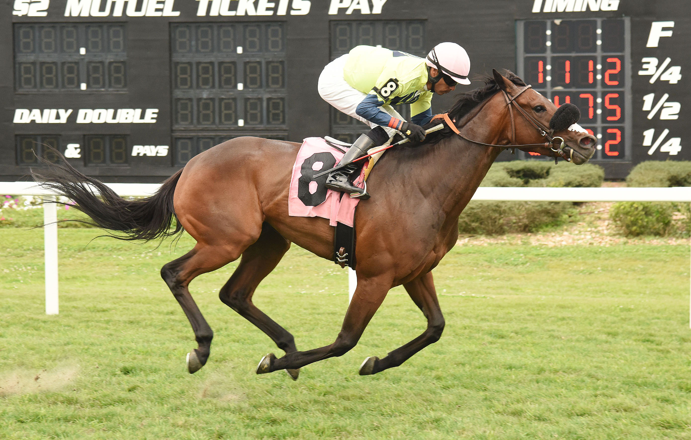 Felt in Pocket wins an optional claiming race on March 18