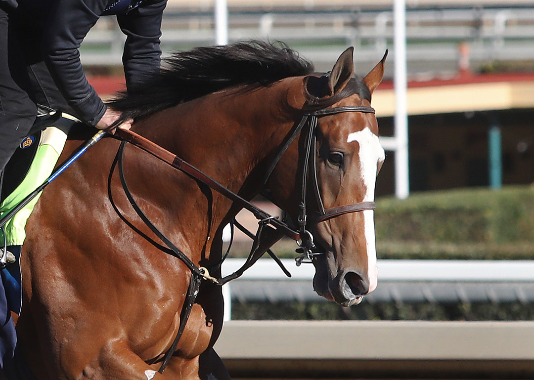Fenway trains at Santa Anita on Jan. 30