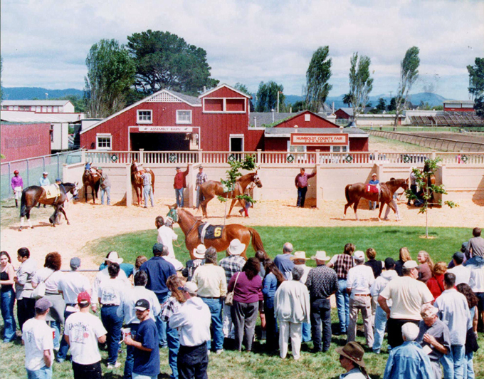 Ferndale 2010