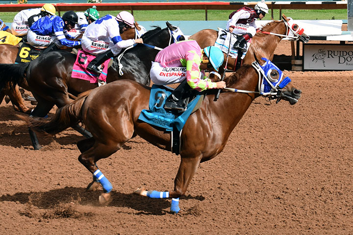 Fernweh (near) wins the 2019 Ruidoso Downs Quarter Horse Futurity