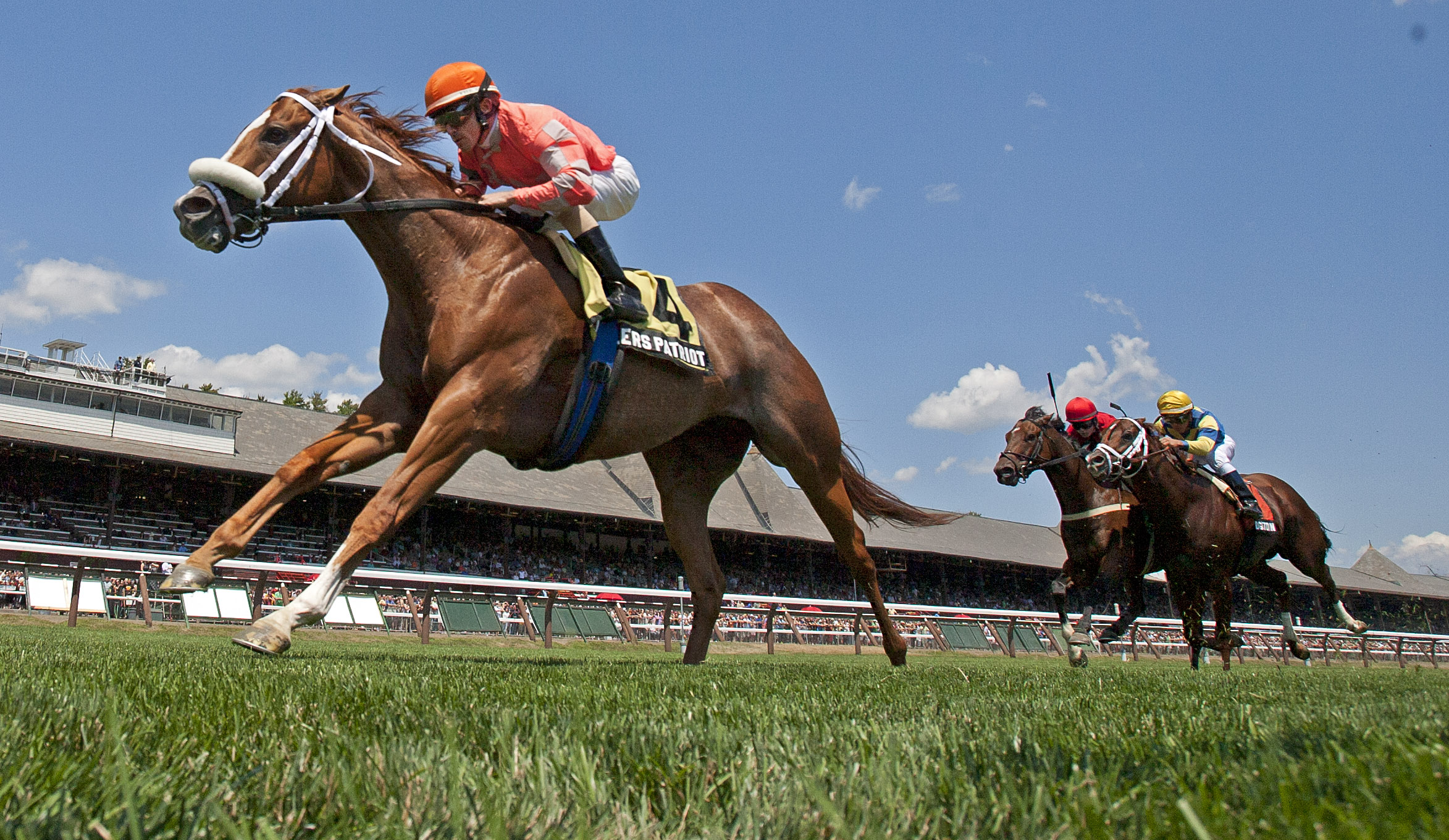 Fiddlers Patriot, Willard Straight Stakes