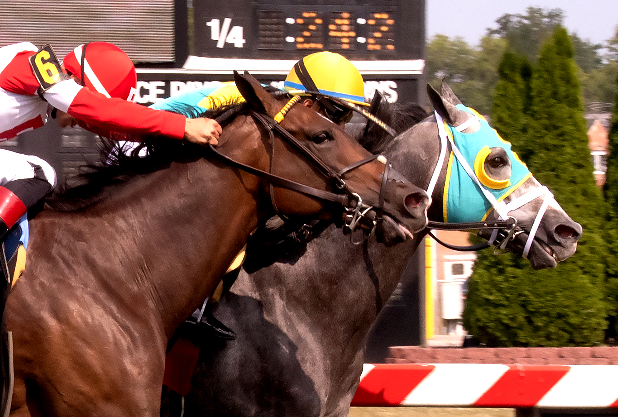 Field Pass (right) wins Baltimore/Washington International Turf 7-24-2021