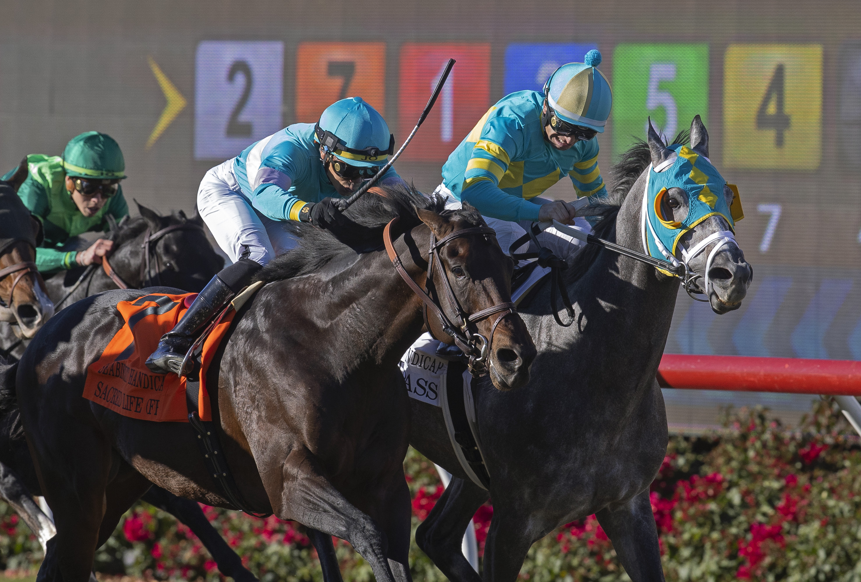 Field Pass - Seabiscuit H. 2021