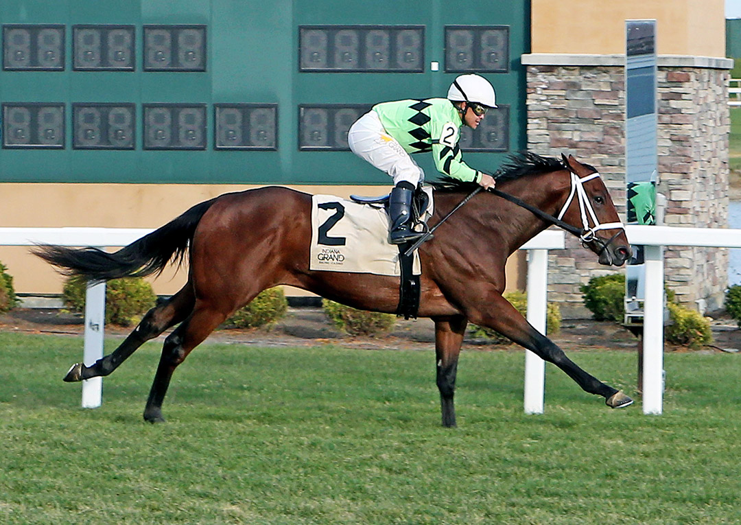 Field Day wins a Nov. 5 maiden race at Indiana Grand
