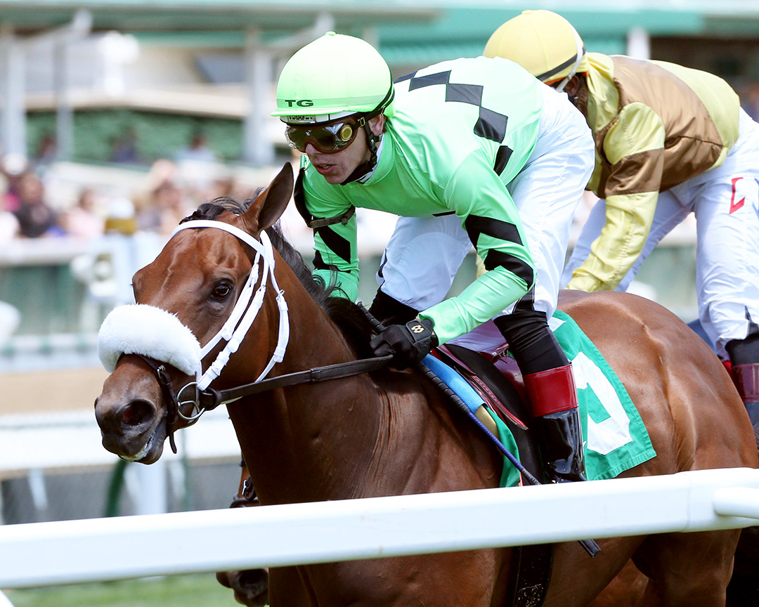 Field Day wins a May 30 allowance at Churchill Downs