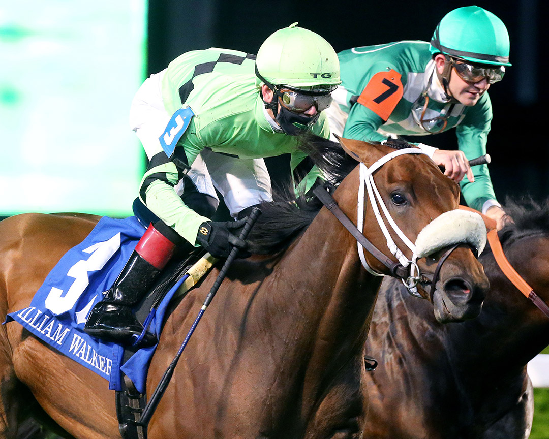 Field Day wins the 2021 William Walker Stakes at Churchill