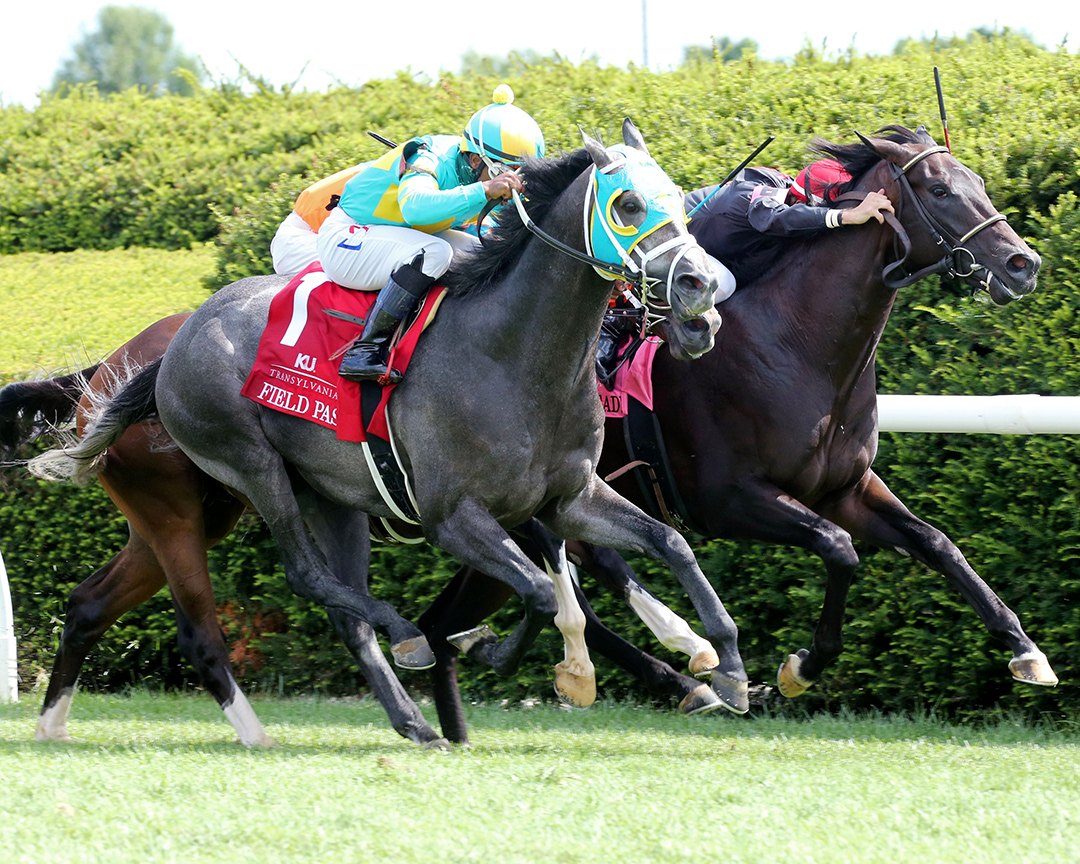 Field Pass (No. 1) wins the 2020 Transylvania Stakes at Keeneland