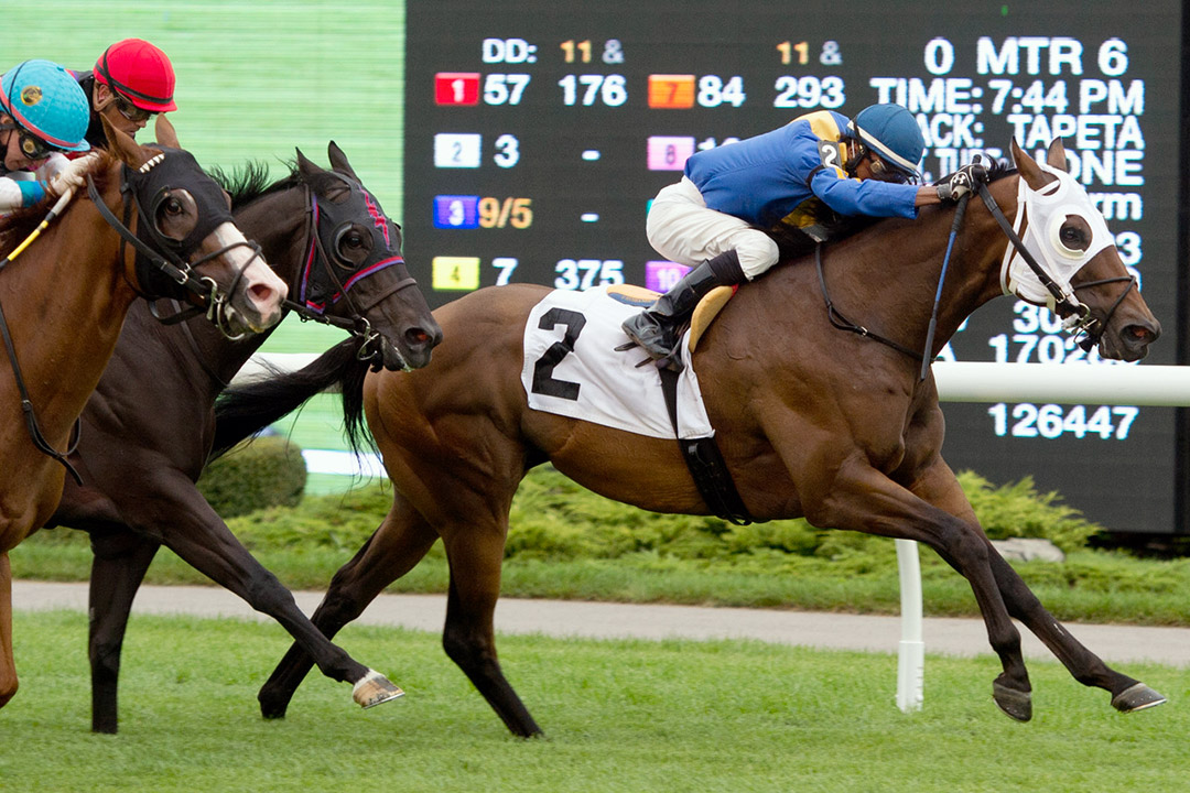 Fielder wins a July 9 optional claimer at Woodbine Racecourse