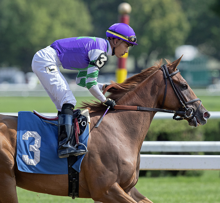 Fierce Scarlett finishes fourth in an Aug. 10 maiden race