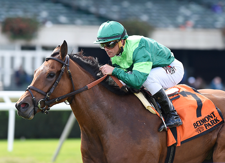 Fifty Five wins the Ticonderoga Stakes