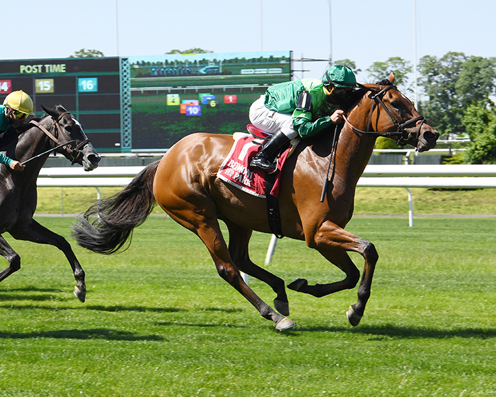 Fifty Five wins the 2019 Mount Vernon Stakes