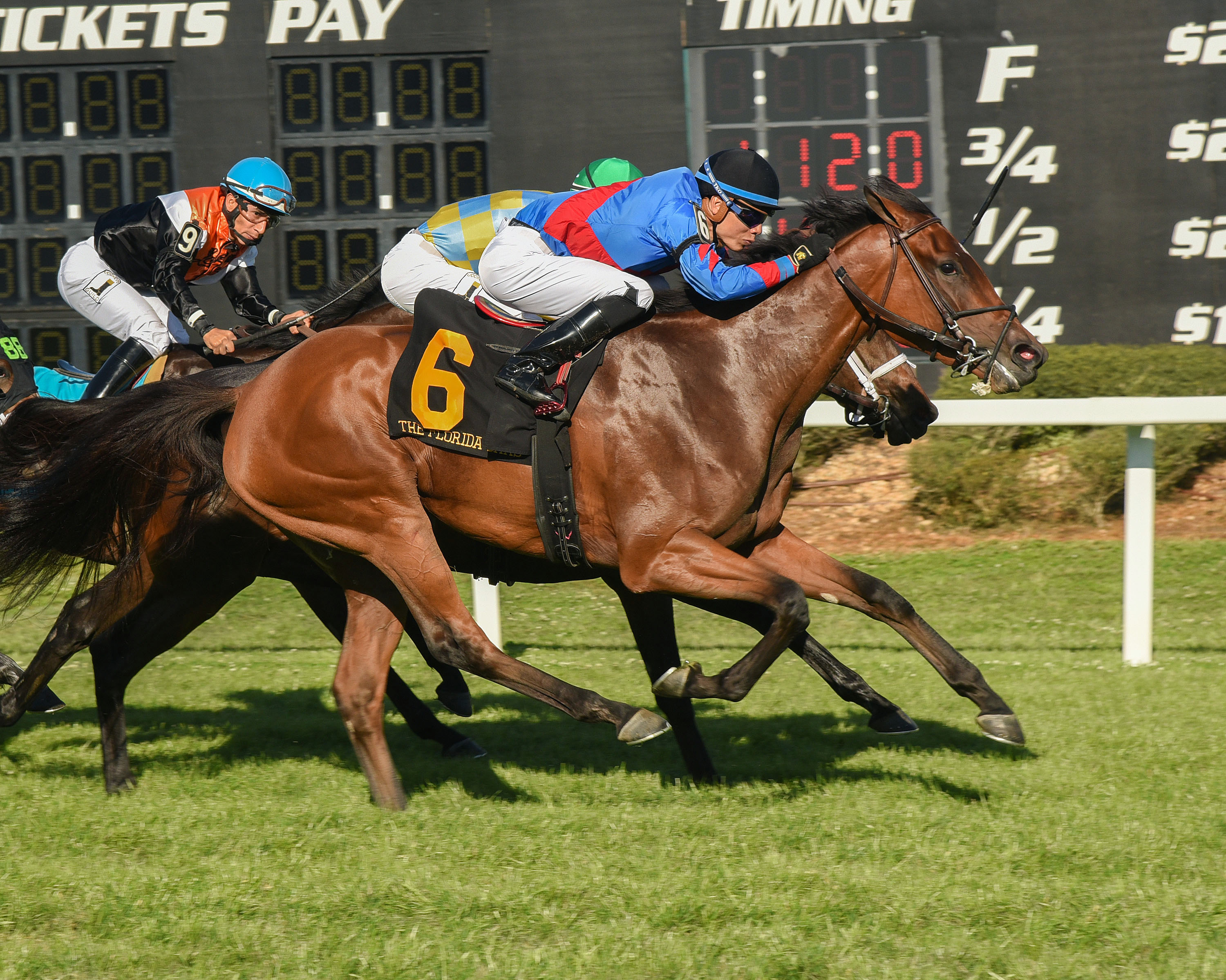 Fifty Five wins the 2017 Florida Oaks