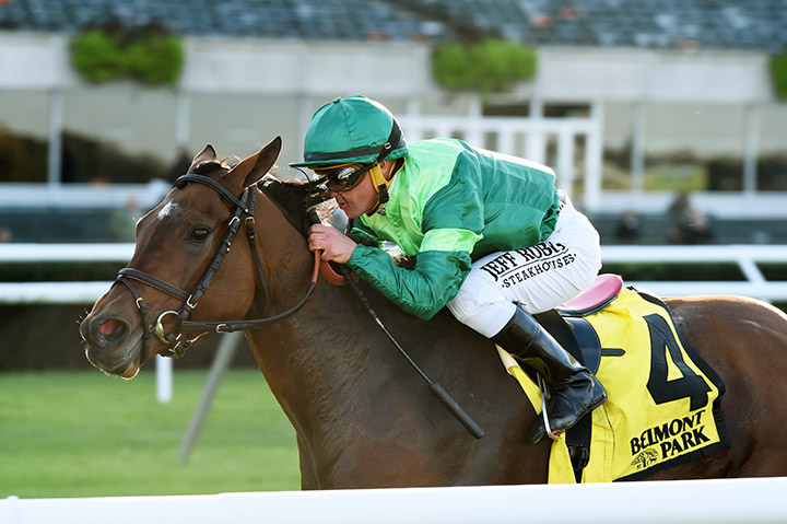 Fifty Five wins the 2019 Ticonderoga Stakes at Belmont Park