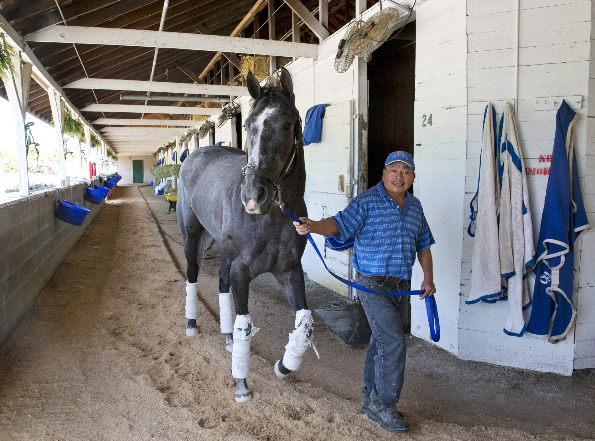 Fiftyshadesofgold at Churchill Downs