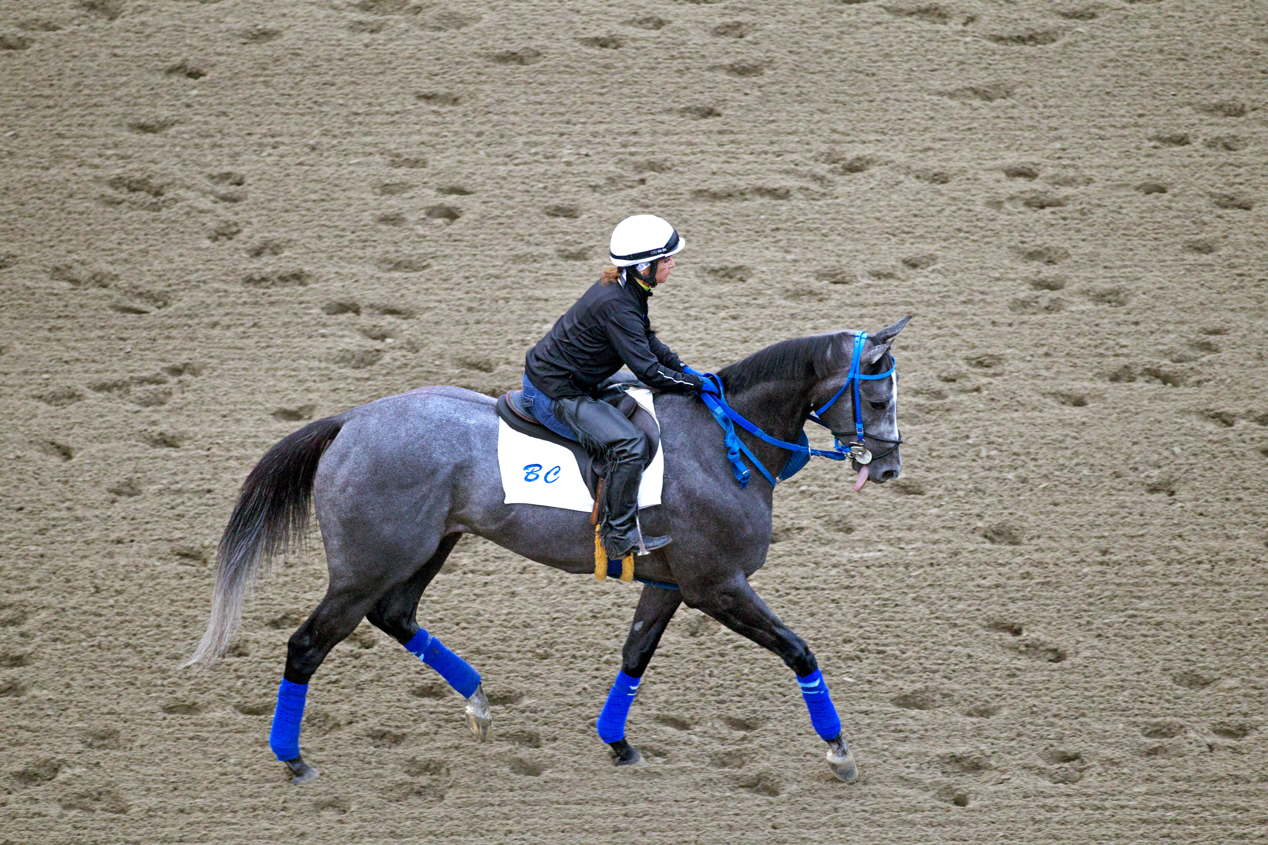 Fiftyshadesofgold at Saratoga