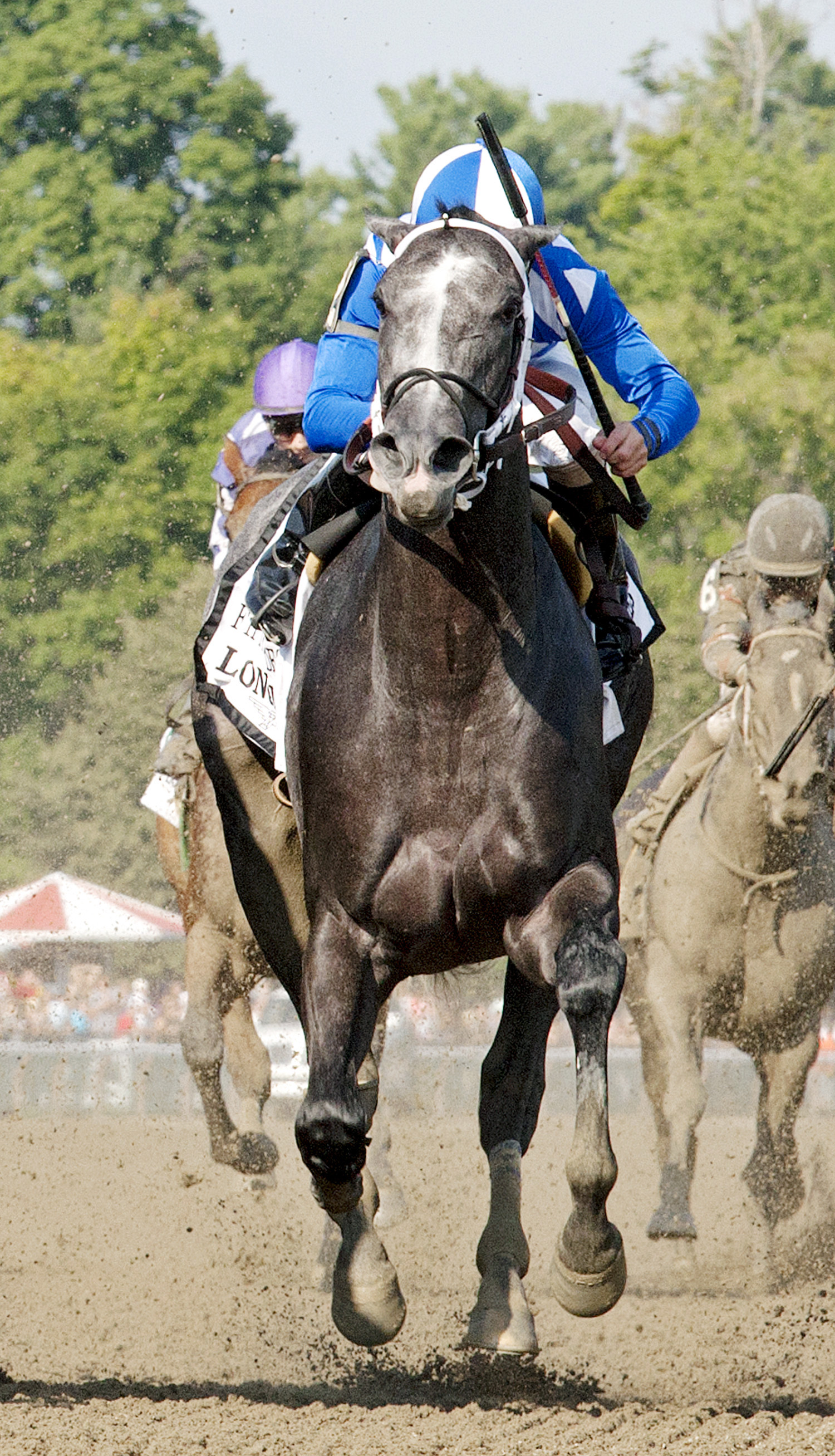 Fiftyshadesofgold finishes fourth in the Test