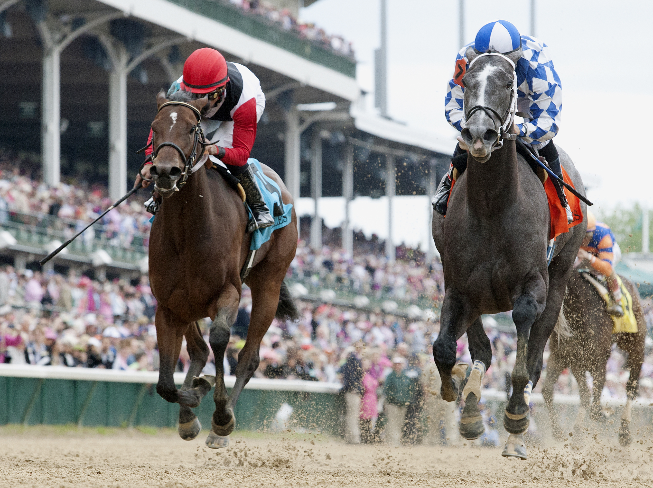 Fiftyshadesofgold wins the Eight Belles
