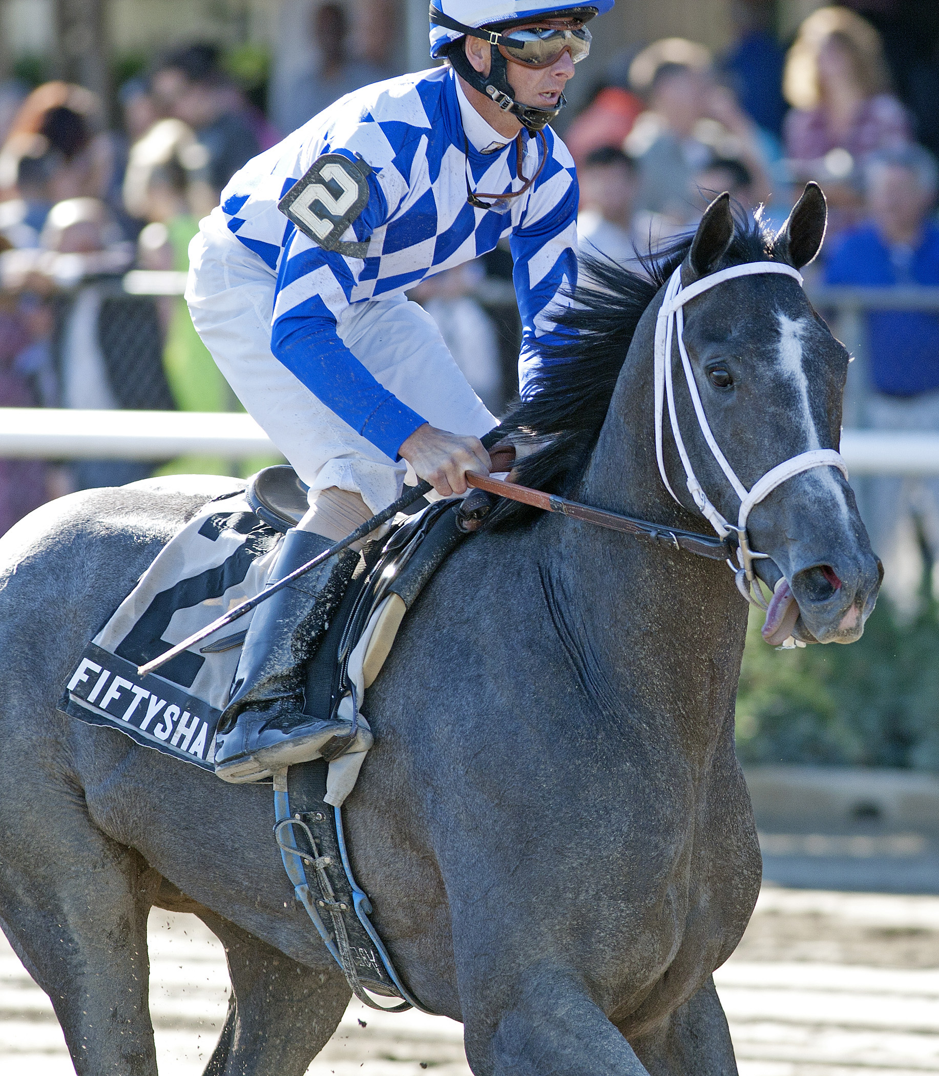 Fiftyshadesofgold in the Saratoga Special Stakes
