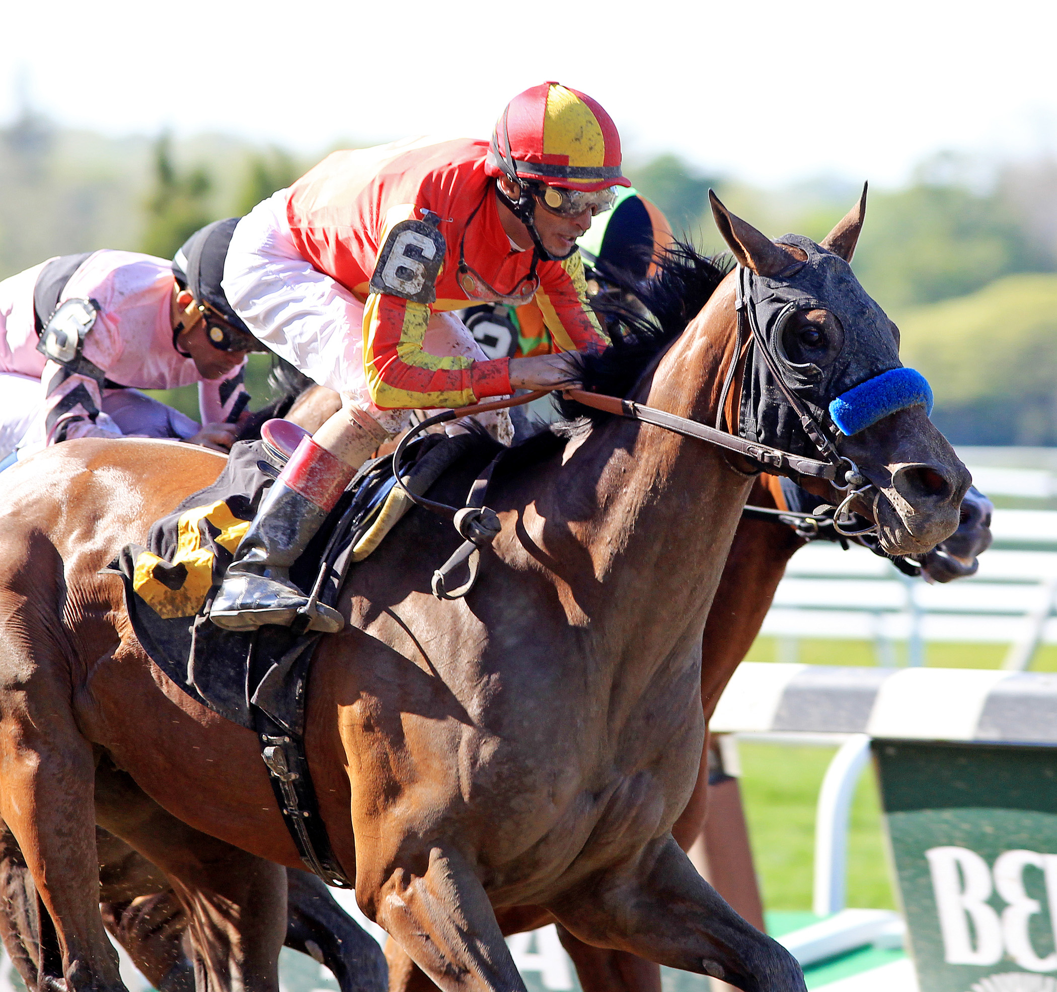 Fiftyshadesofhay wins 2014 Ruffian