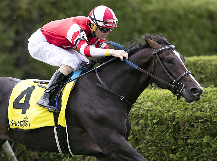 Fighting Seabee wins the 2019 With Anticipation Stakes at Saratoga Race Course