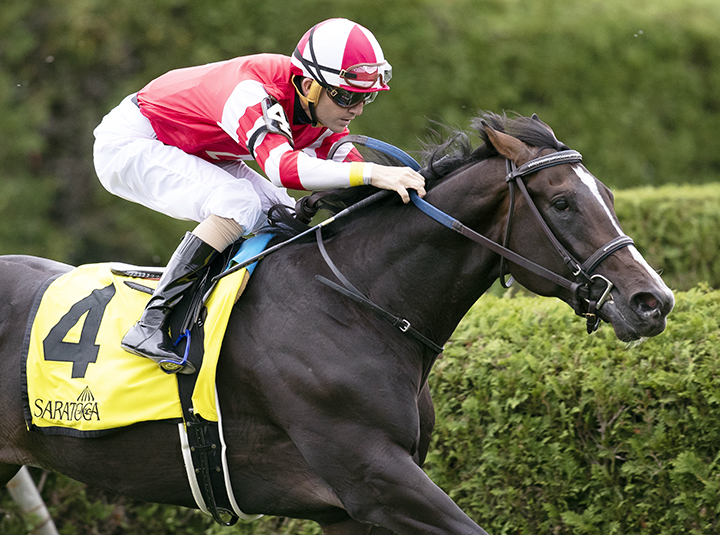 Fighting Seabee wins the 2019 With Anticipation Stakes at Saratoga Race Course