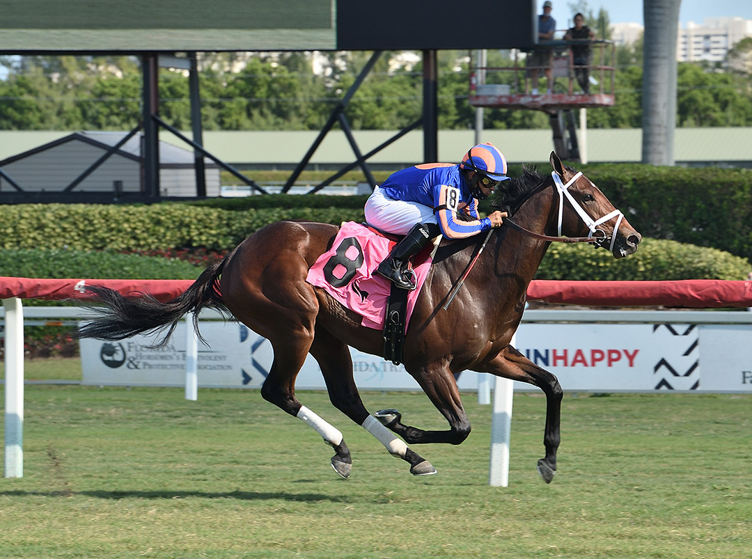 Fighting Force wins a Dec. 5 maiden race at Gulfstream