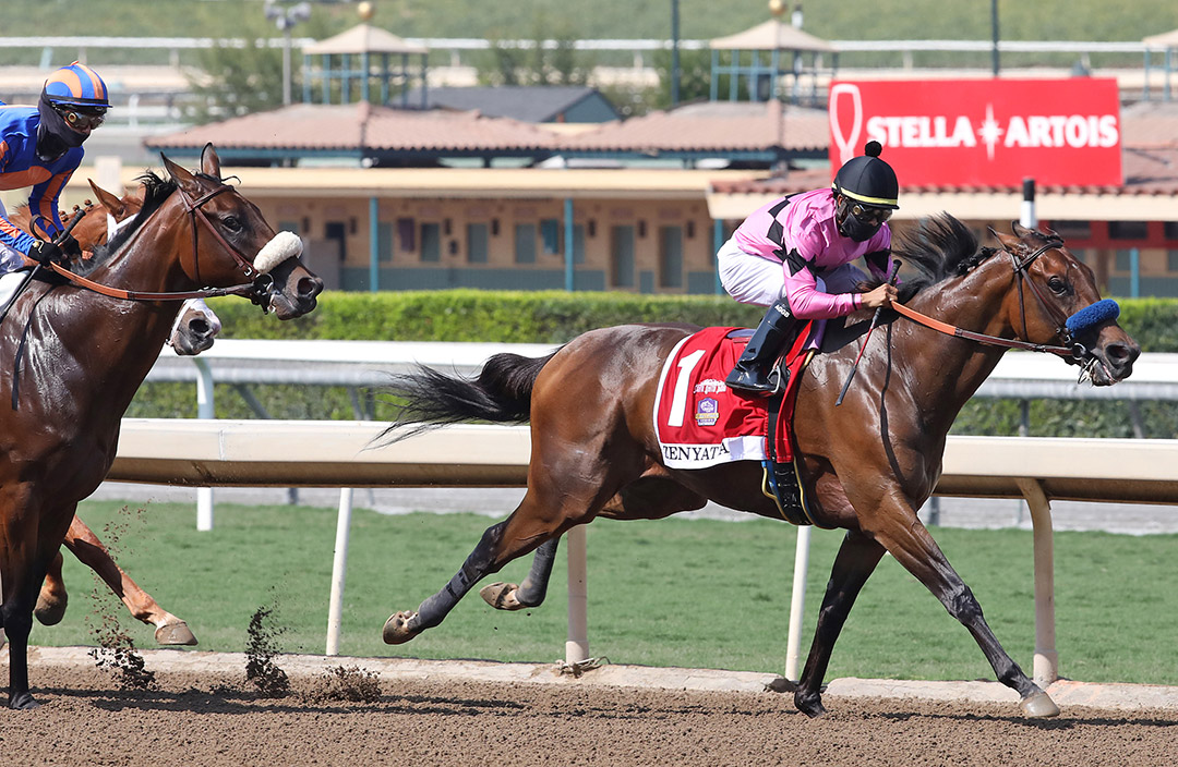 Fighting Mad finishes third in the 2020 Zenyatta Stakes at Santa Anita