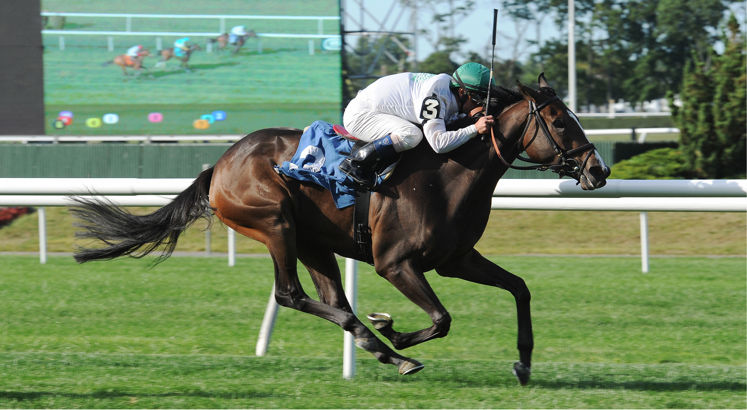 Fila Primera wins a maiden race