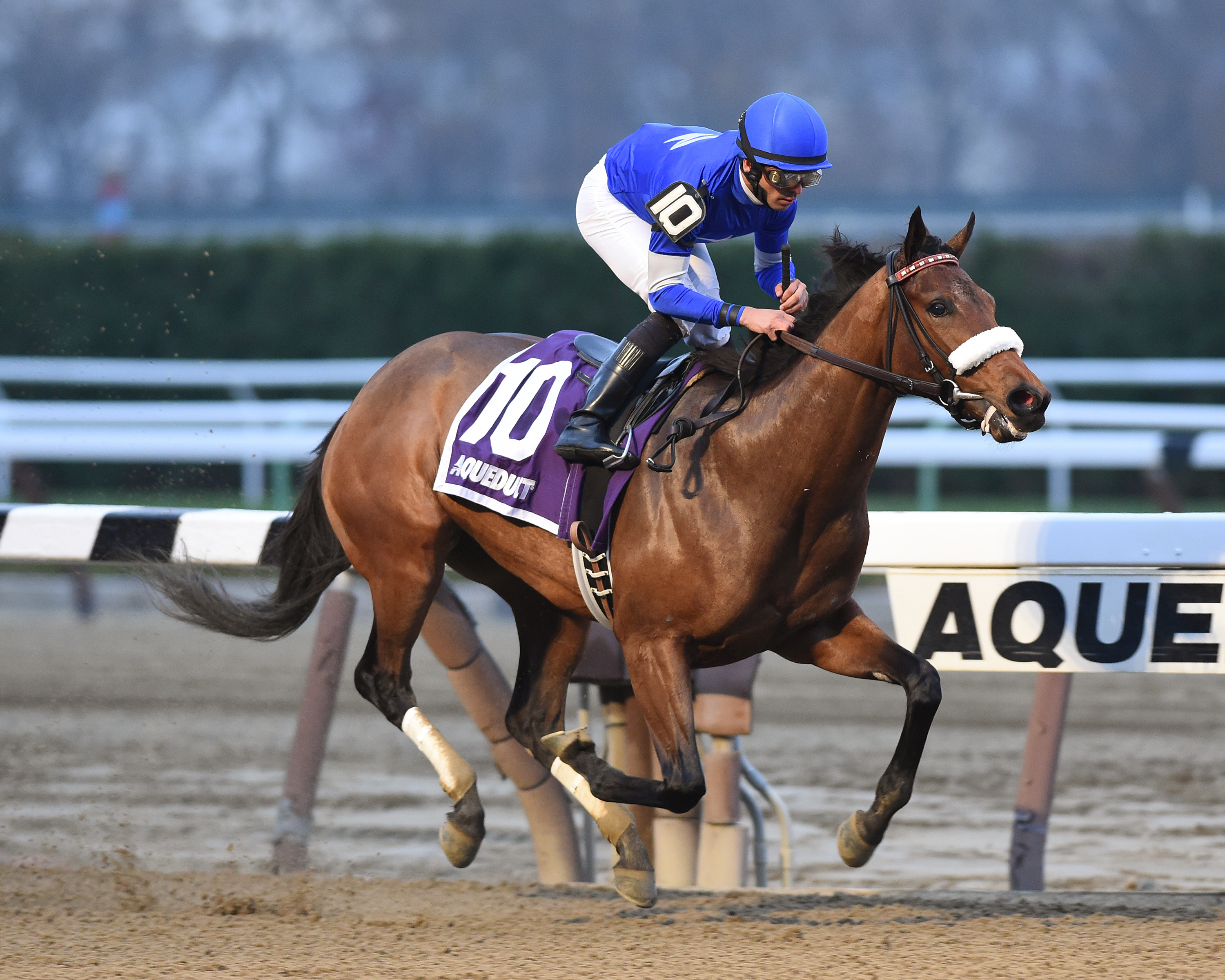 Filibustin wins the Key Cents