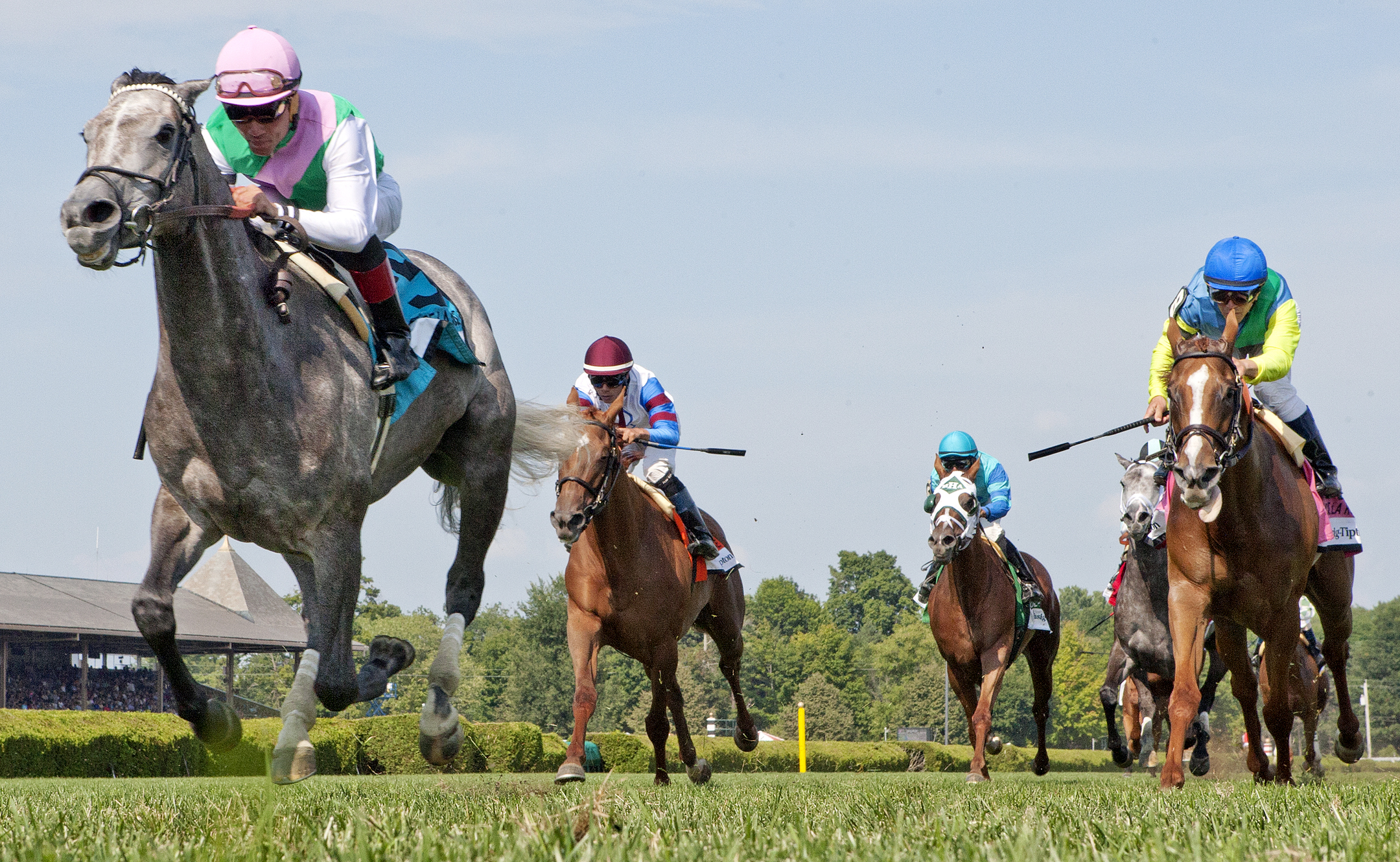 Filimbi wins the De La Rose