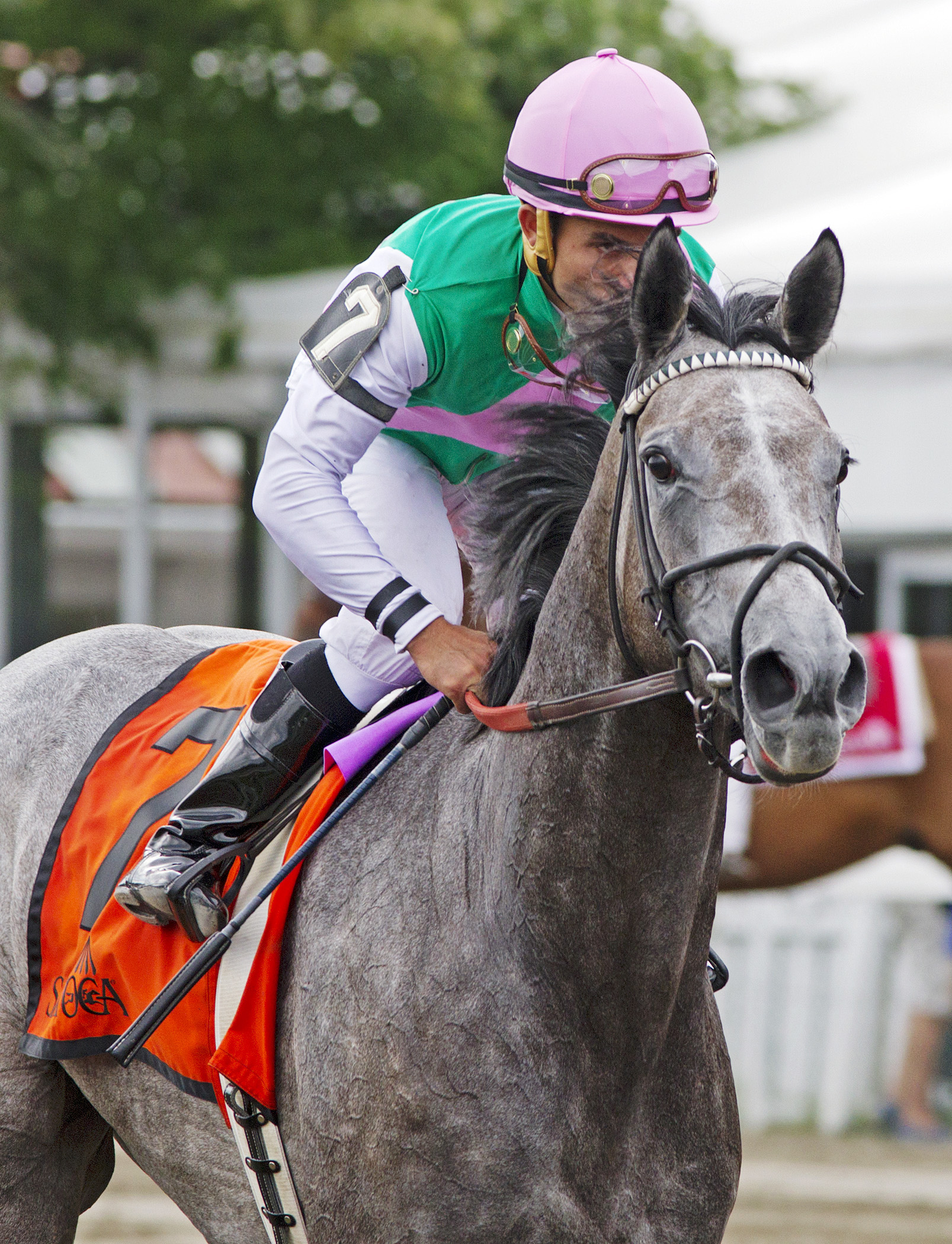 Filimbi at the Ballston Spa