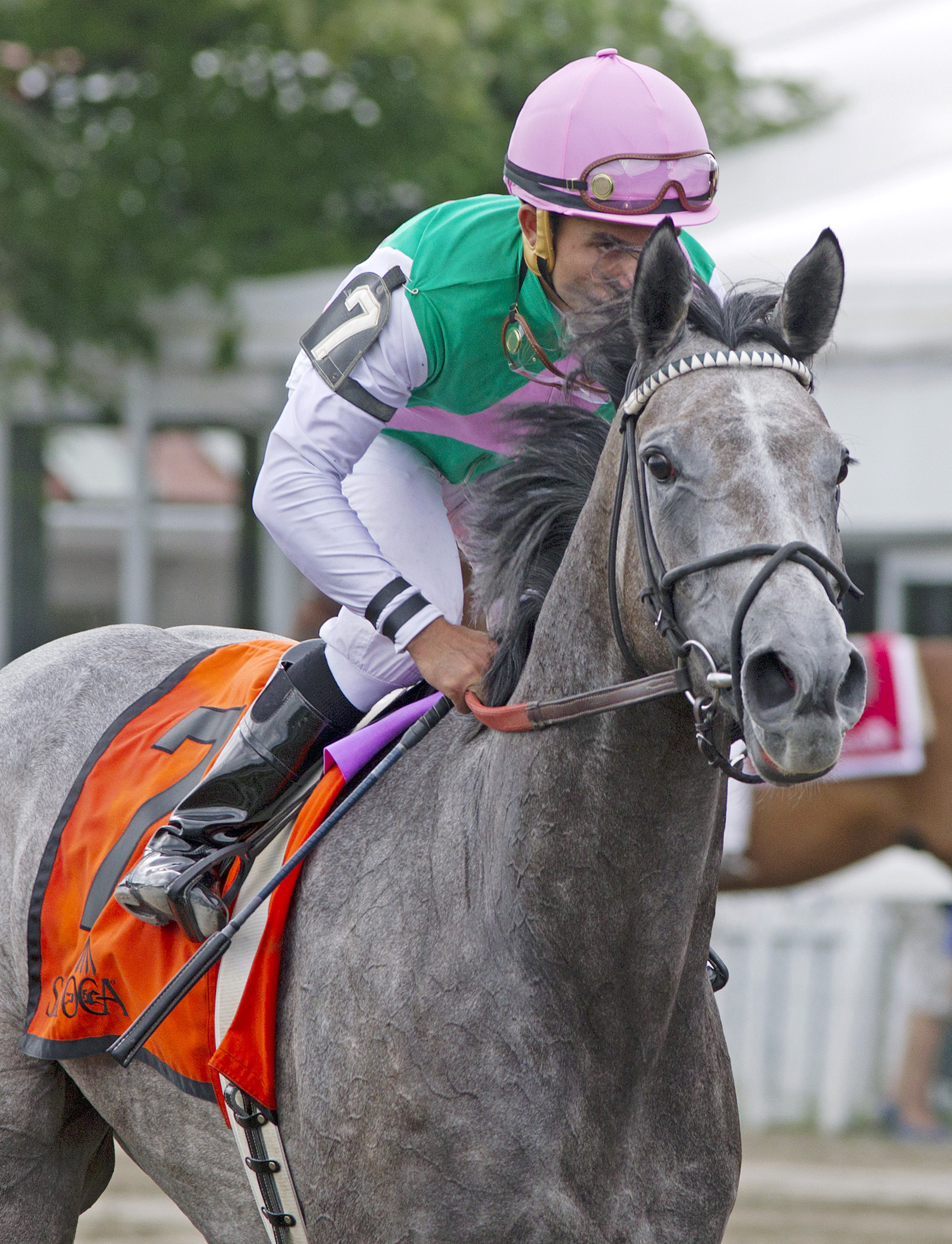 Filimbi at the Ballston Spa