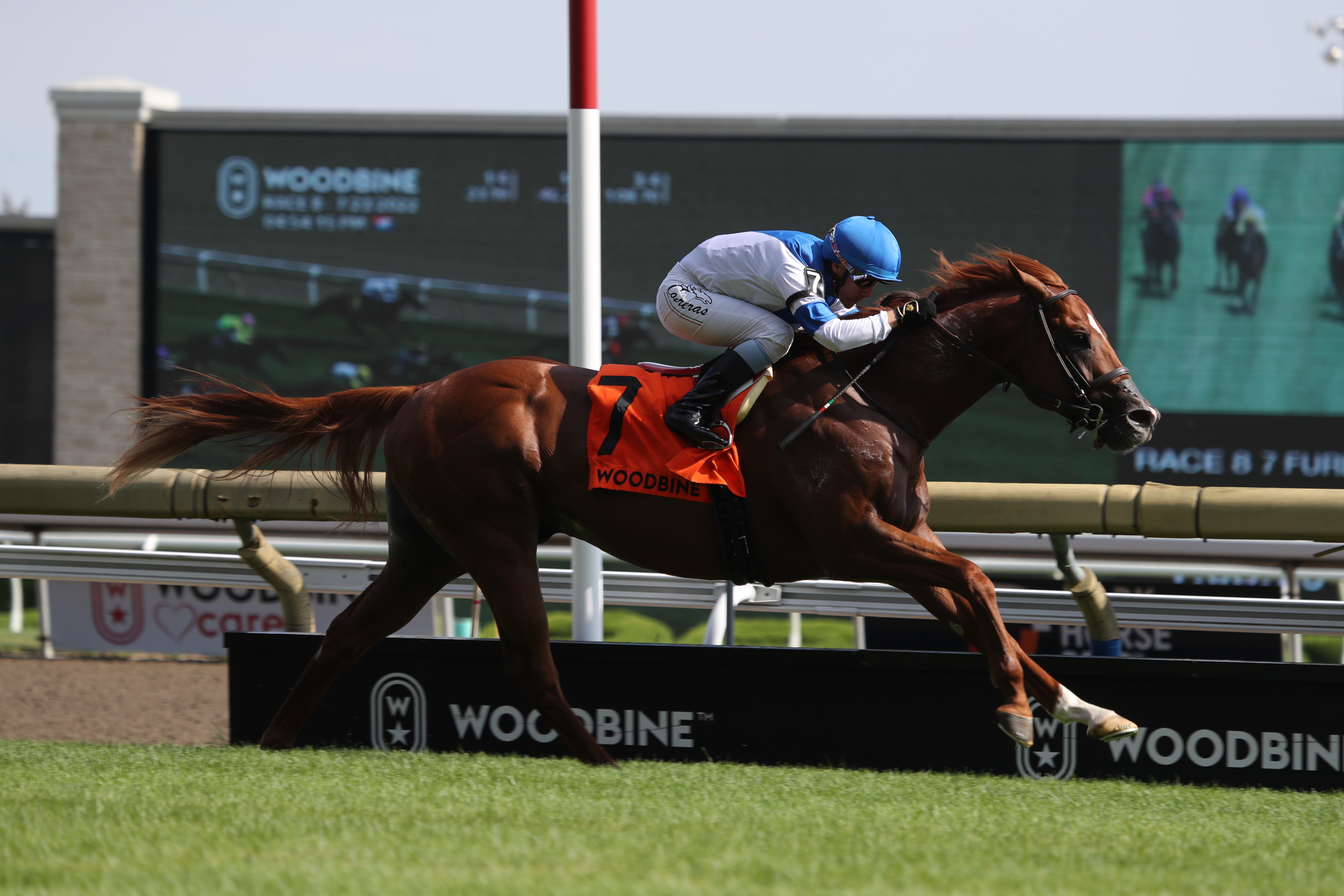 Filo Di Arianna wins Connaught Cup 7-23-2022