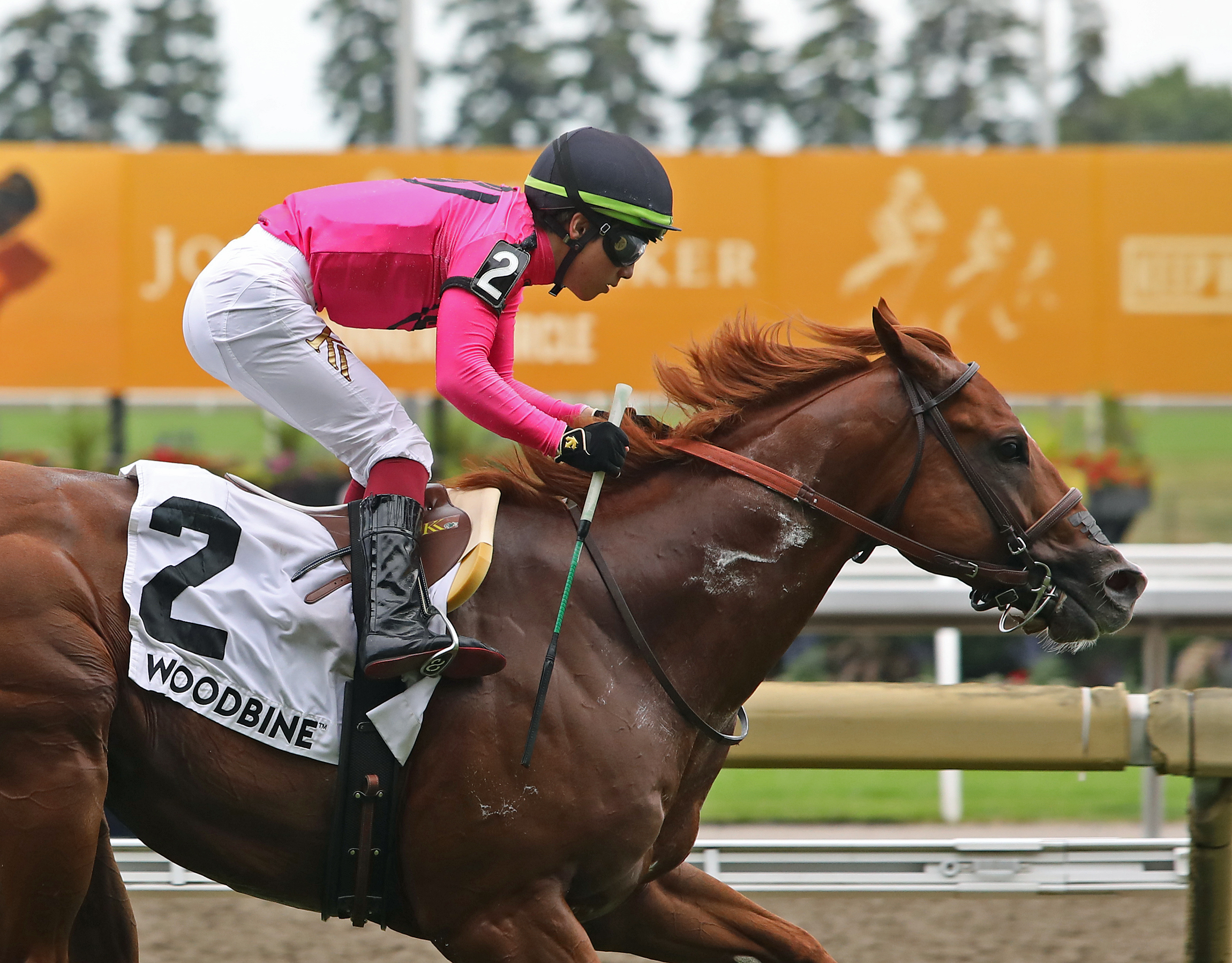 Filo Di Arianna wins King Edward 8-21-2022