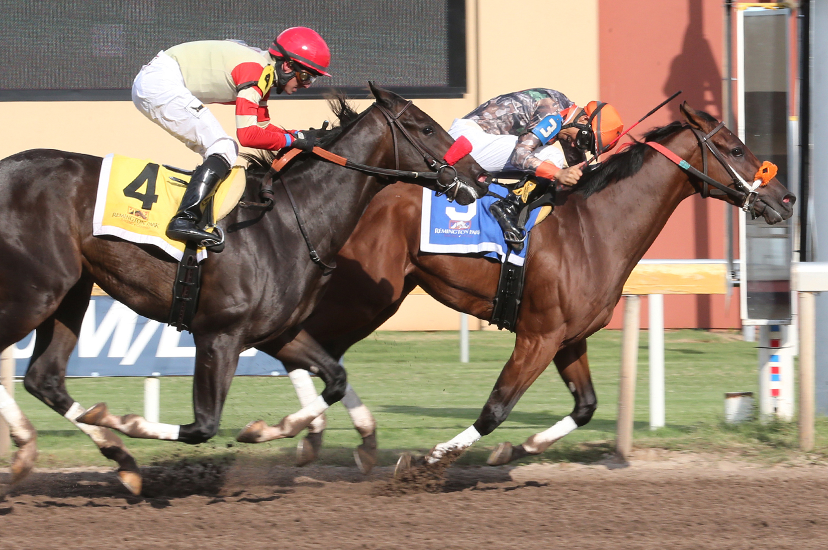 Land Battle finishes second in the 2017 Kip Deville