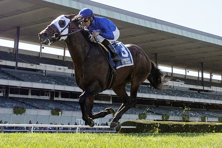 Final Frontier wins the Belmont Turf Sprint at Belmont Park