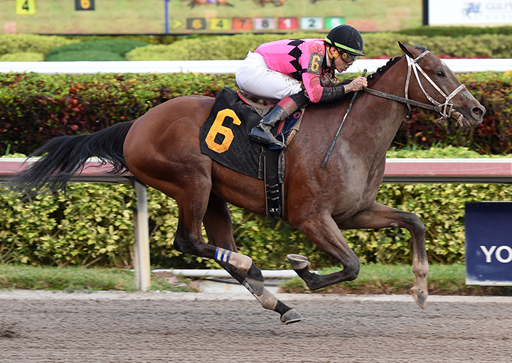 Final Jeopardy wins a maiden race at Gulfstream on 12.9.18