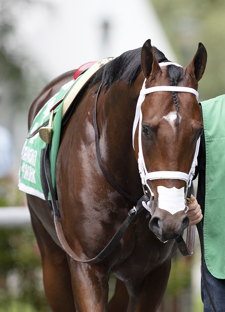 Final Jeopardy on July 6 at Belmont Park