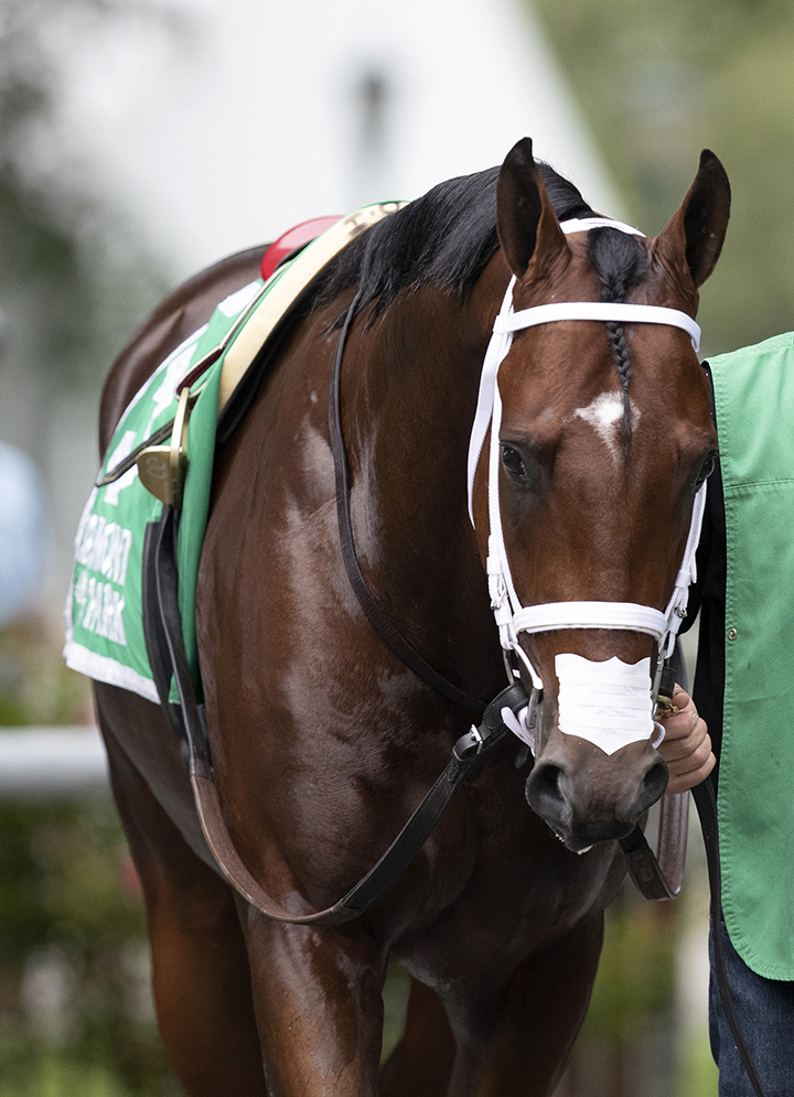 Final Jeopardy on July 6 at Belmont Park
