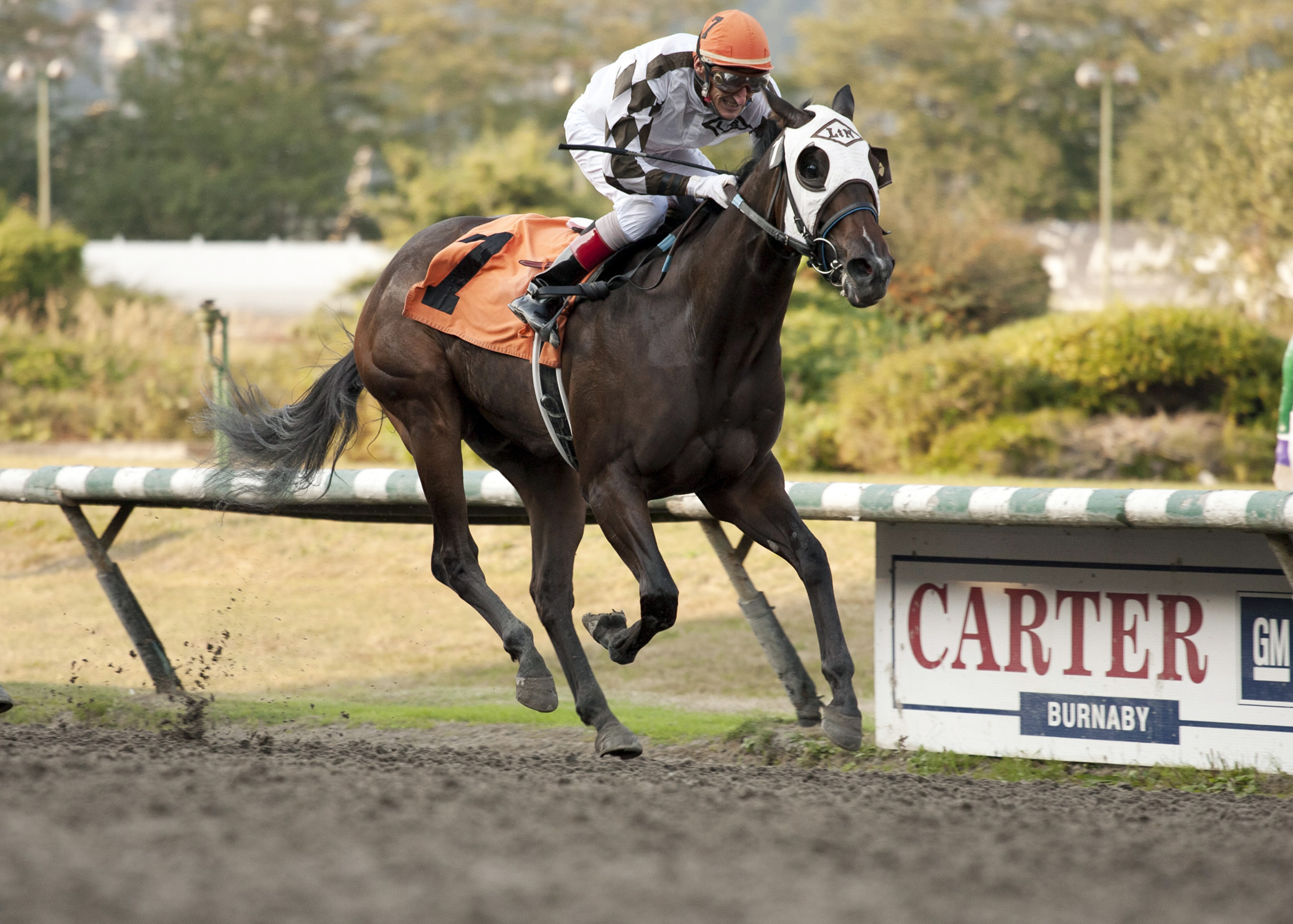 Finality's Charmer wins the Sadie Diamond Futurity