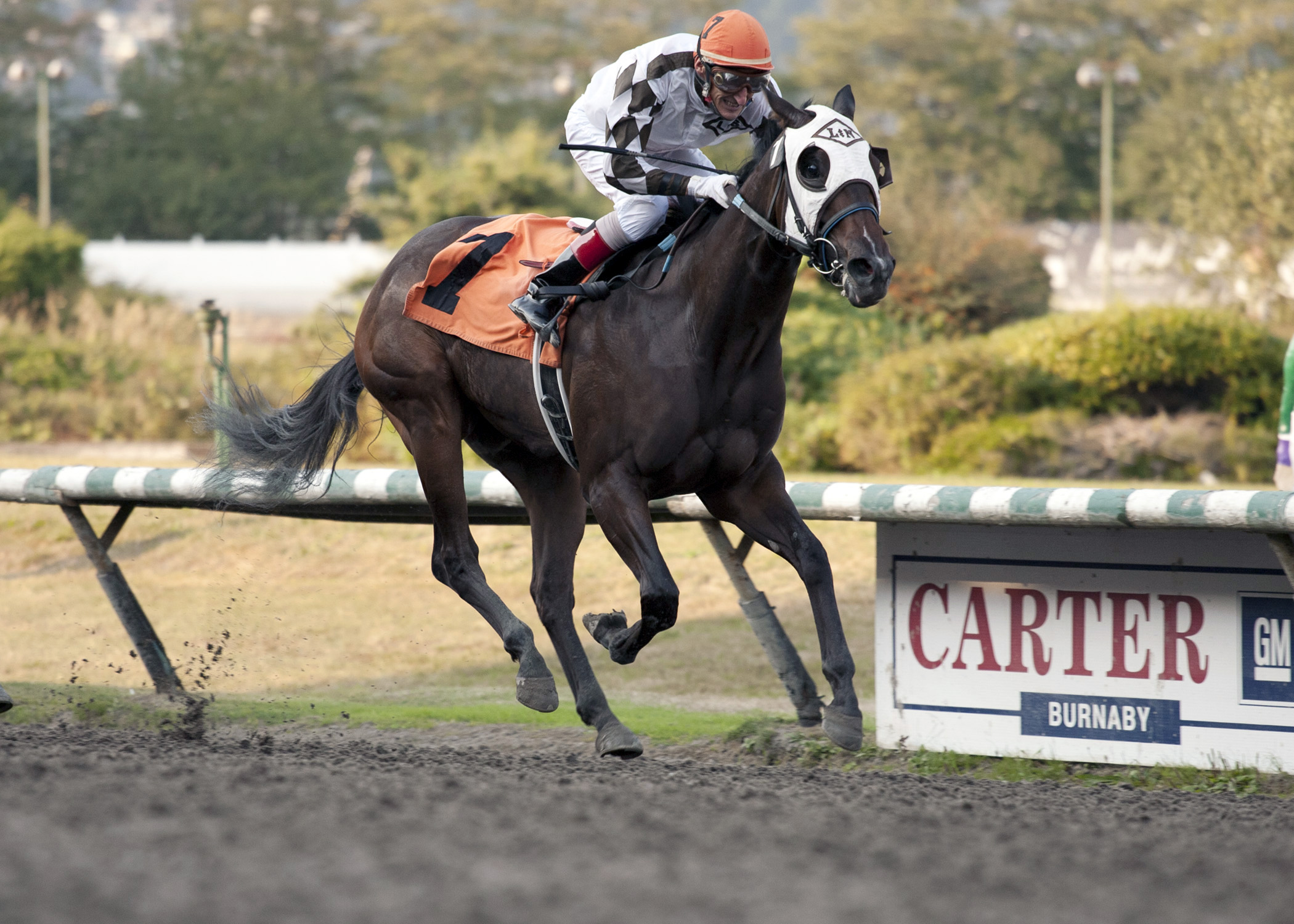 Finality's Charmer wins the Sadie Diamond Futurity Stakes