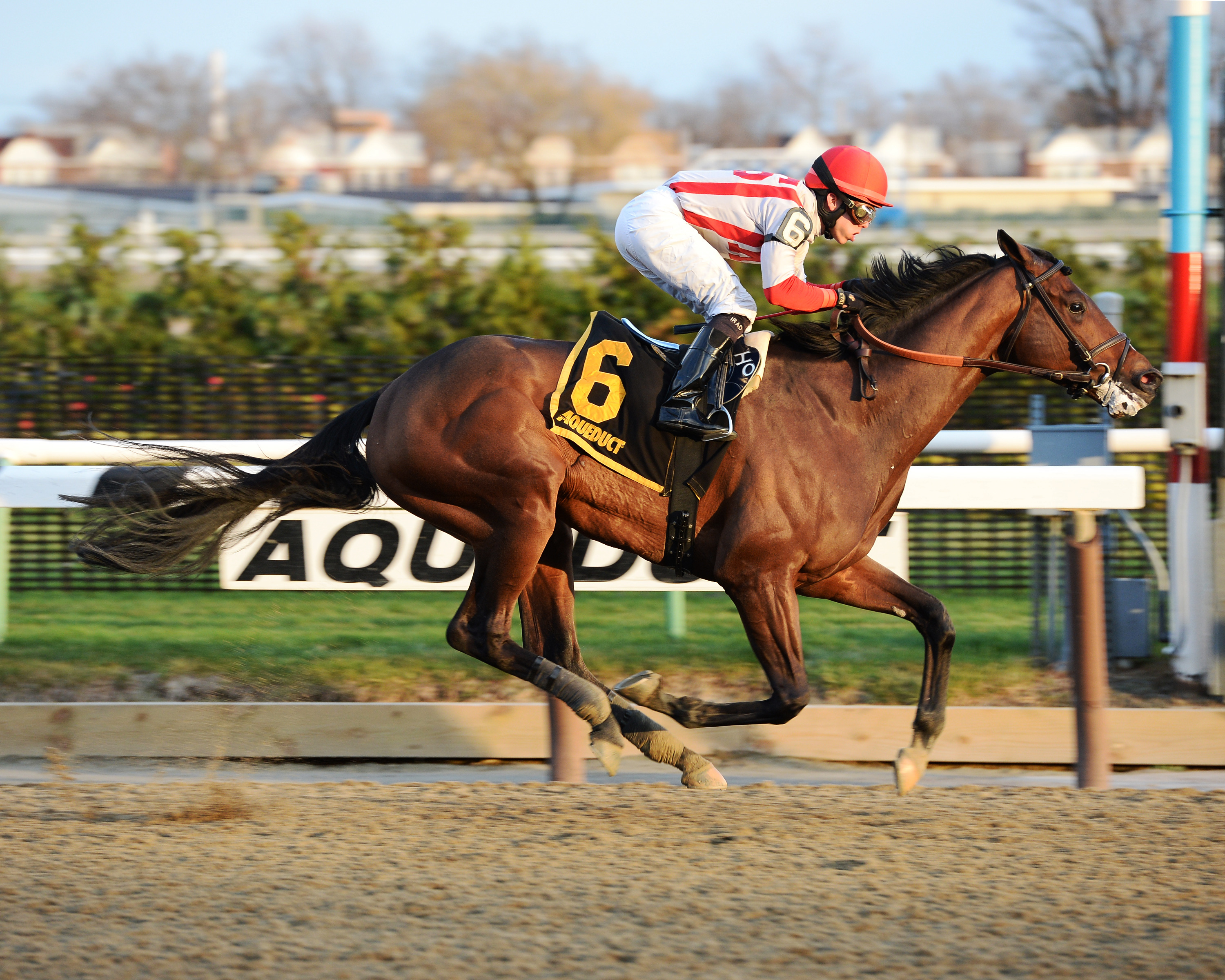 Financial Modeling wins the Queens County Stakes
