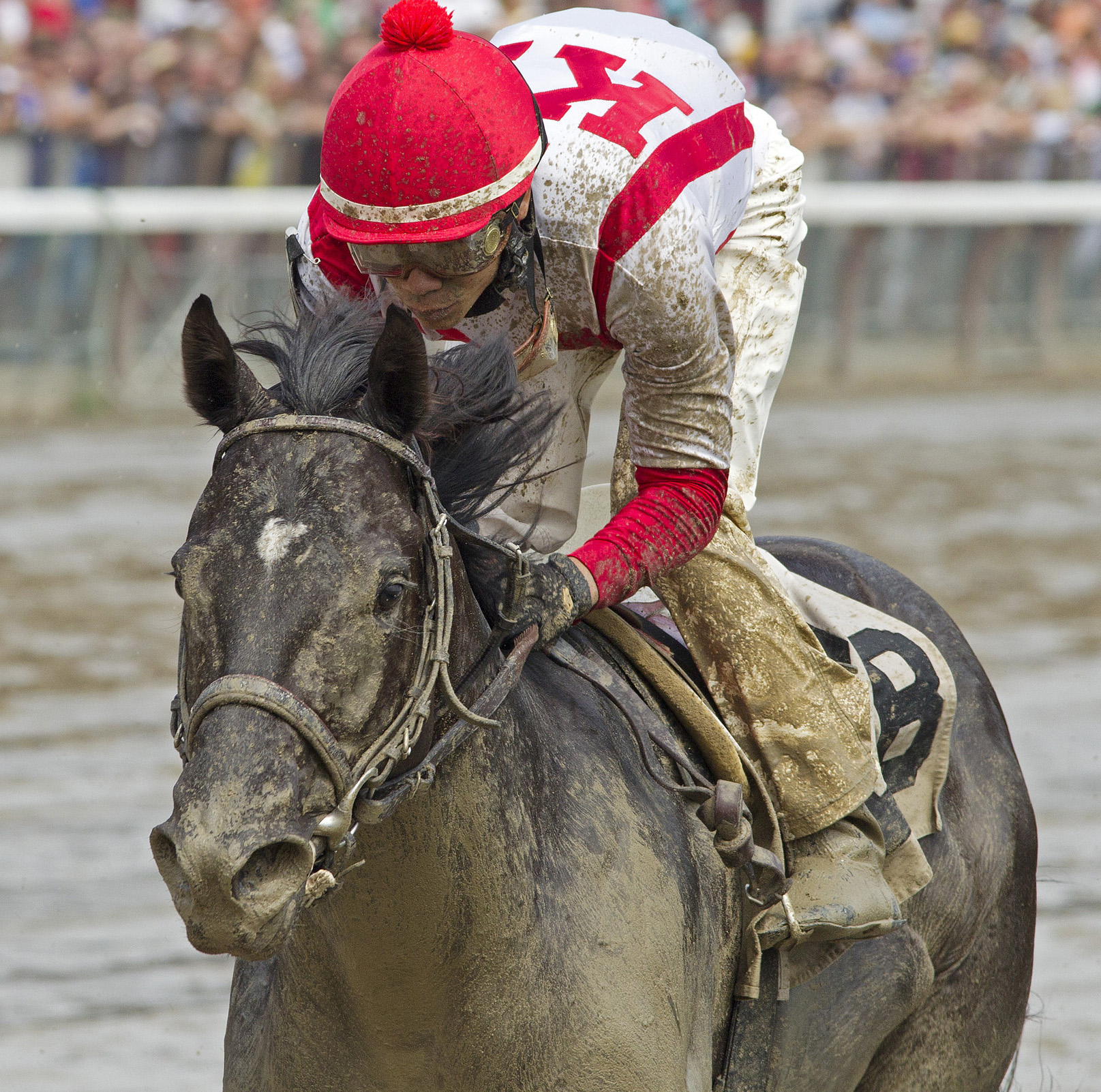 Financial Mogul wins a maiden race
