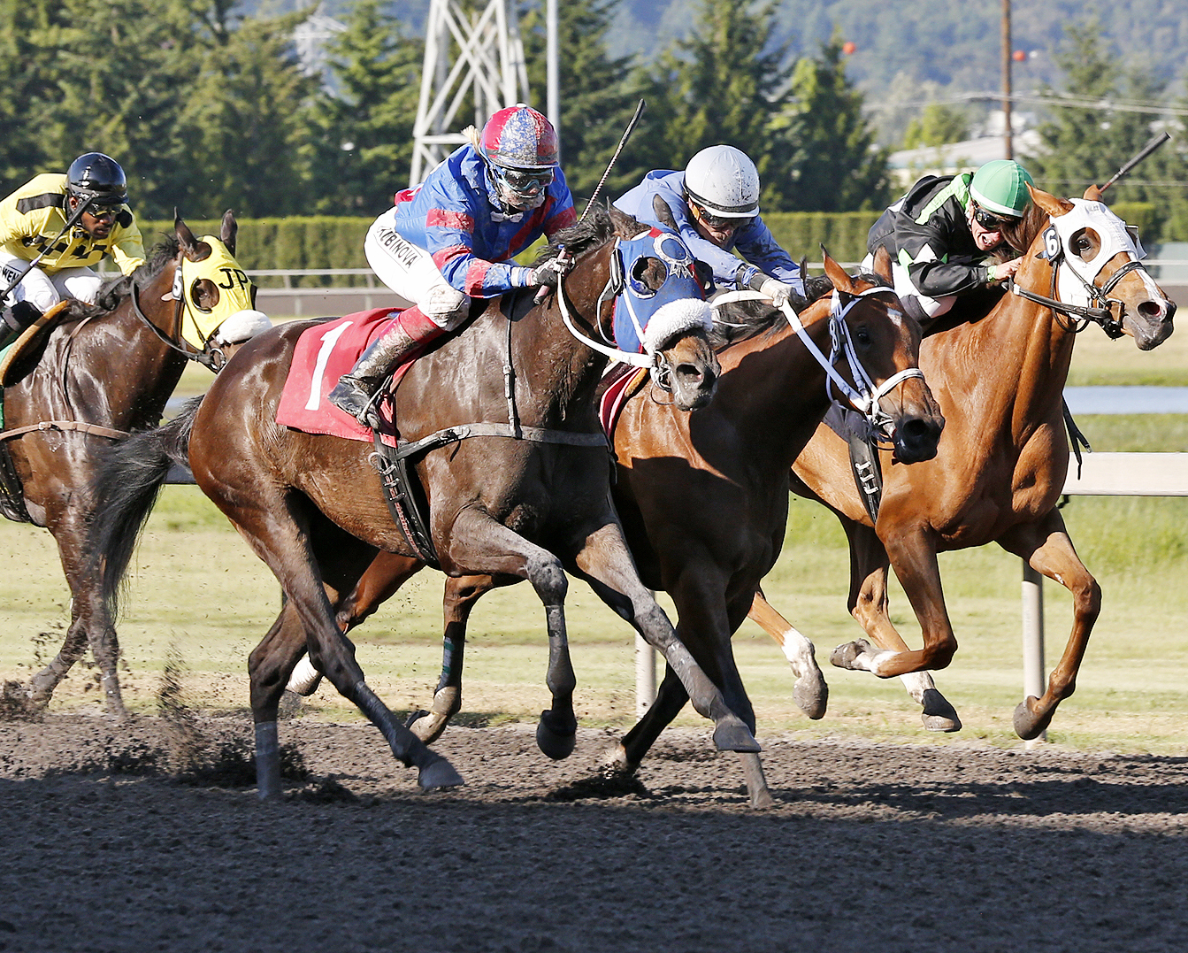 Finding More wins a claiming race at Emerald Downs