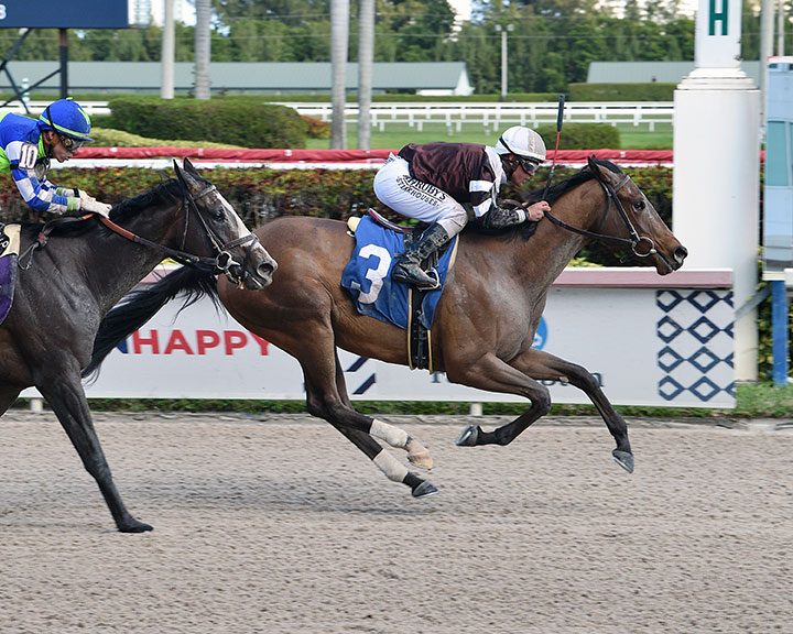 Finding Fame wins a Feb. 23 maiden race at Gulfstream Park