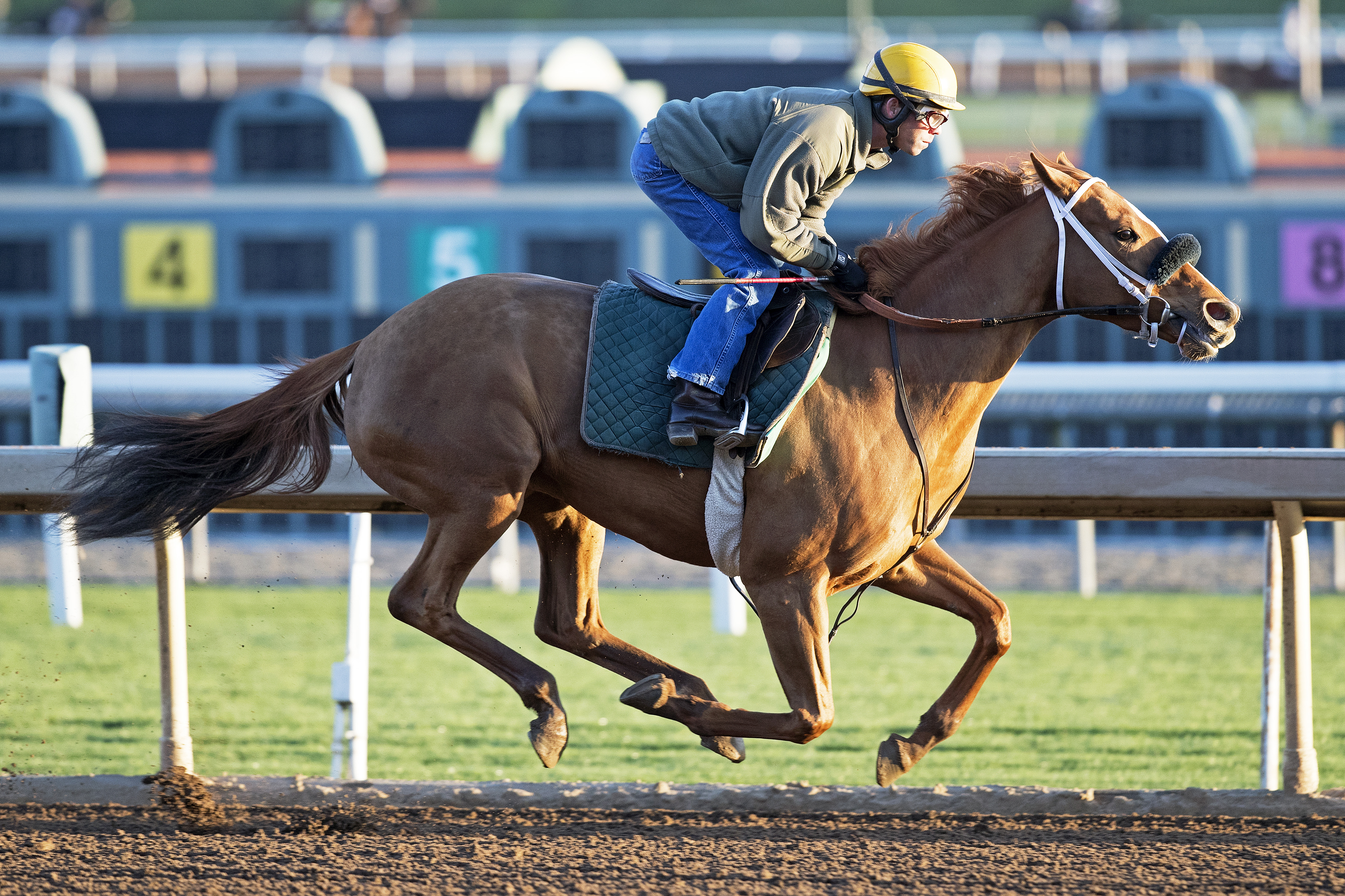 Finest City trains at Santa Anita on March 11