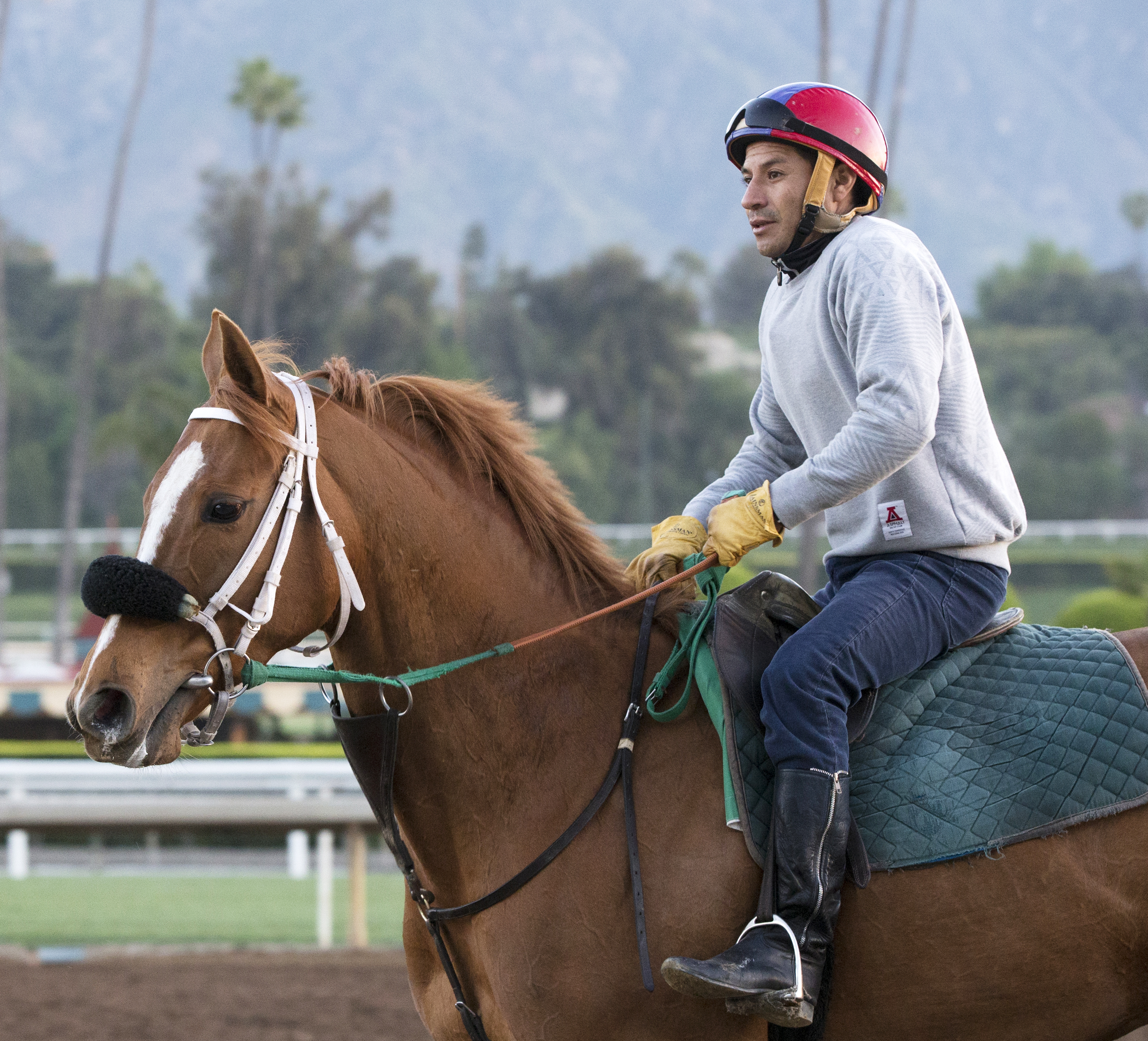 Finest City at Santa Anita on March 11