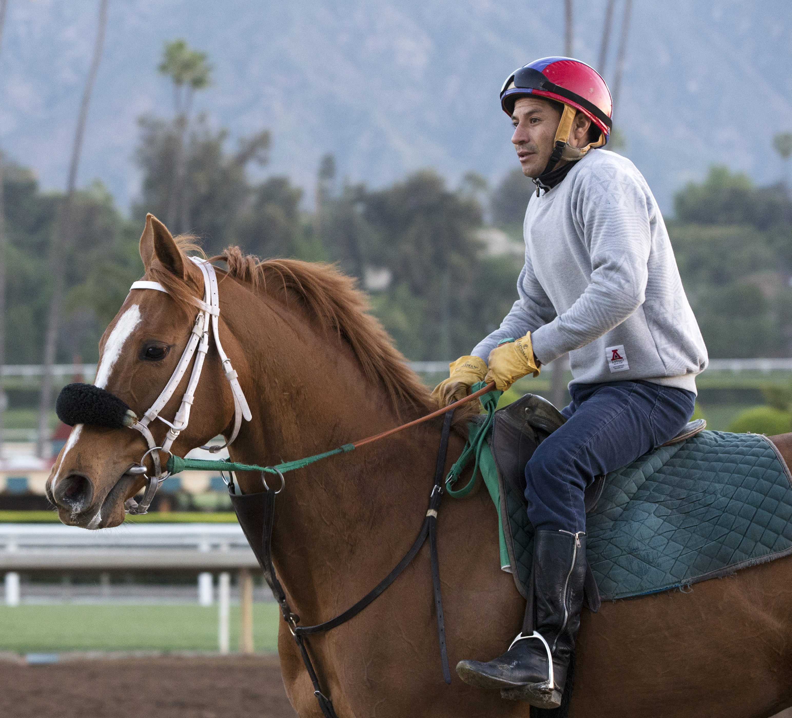 Finest City at Santa Anita on March 16