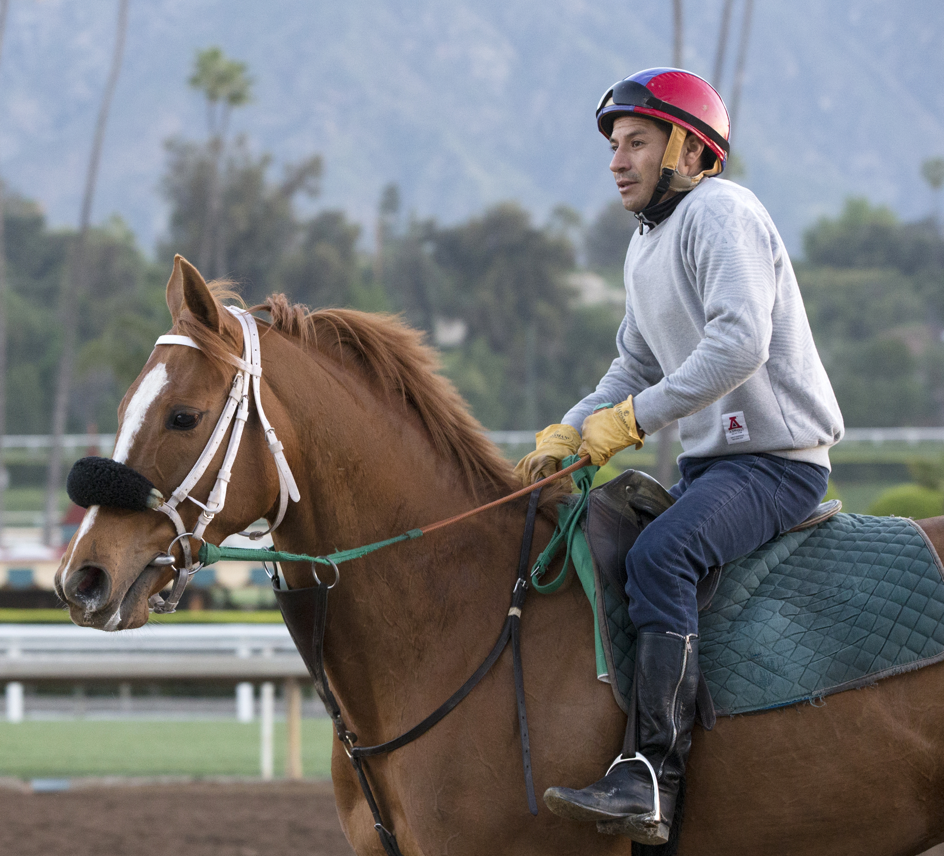 Finest City at Santa Anita on March 16