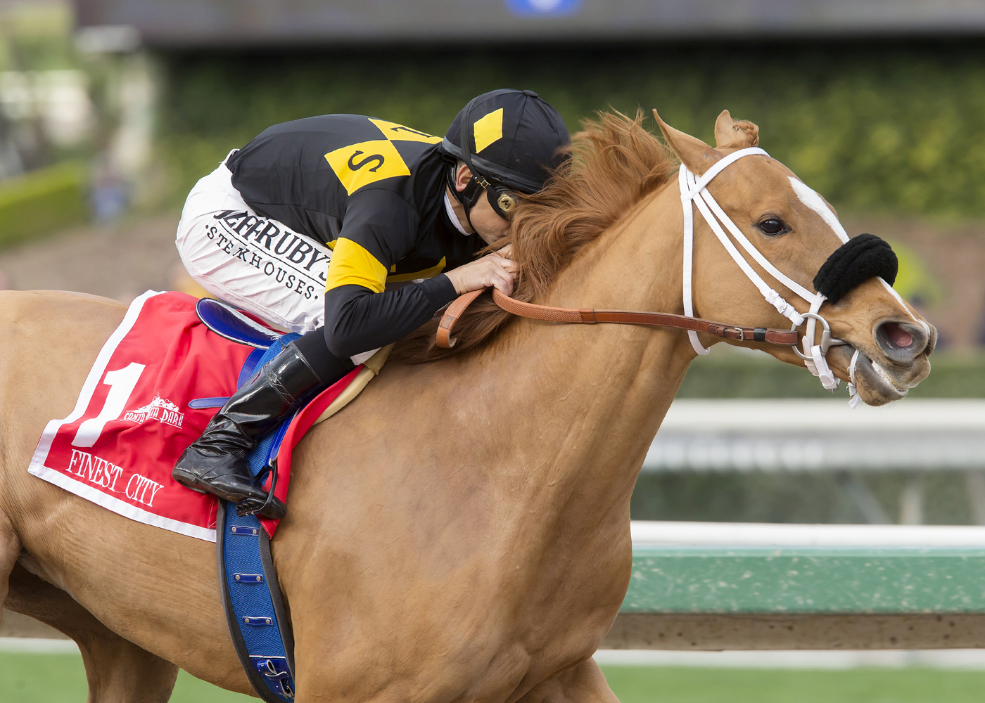 Finest City wins the Santa Monica Stakes